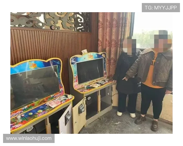 不同地区对赌博老虎机认定标准的差异与执行细节